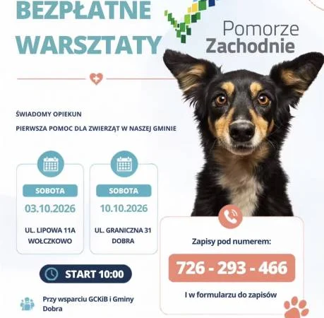 Świadomy opiekun, pierwsza pomoc dla zwierząt w naszej Gminie.