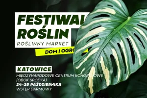 Festiwal Roślin | roślinny market