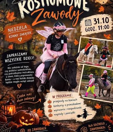 Zawody Hobby Horse Sopot 2026 – Informacje i zapisy