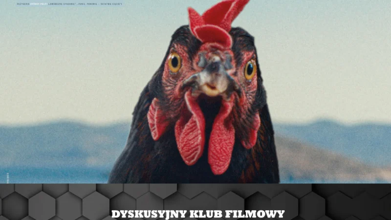 DKF REWERS – „Kura”, reż. György Pálfi