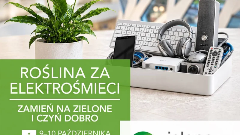 Roślina za elektroodpady i wsparcie dla bydgoskiego schroniska