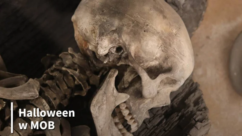 Archeologia z dreszczykiem