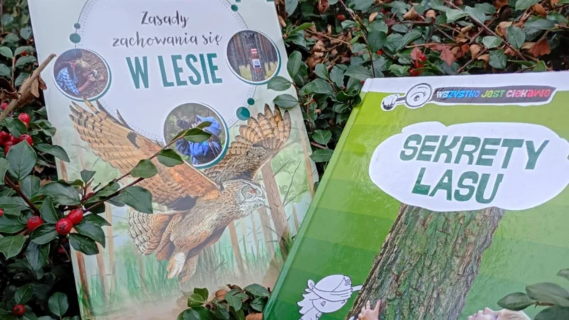 Sekrety lasu | warsztaty wokół książki