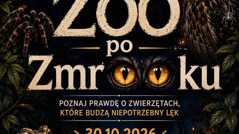 Zoo o zmroku