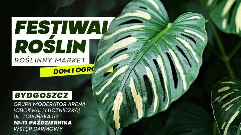 Festiwal Roślin