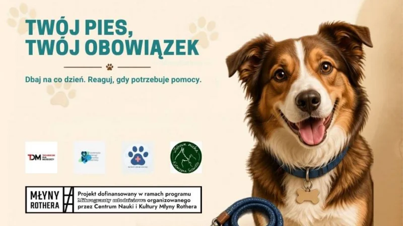 Twój pies, Twój obowiązek – otwarte wydarzenie edukacyjno-warsztatowe