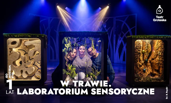W trawie. Laboratorium sensoryczne