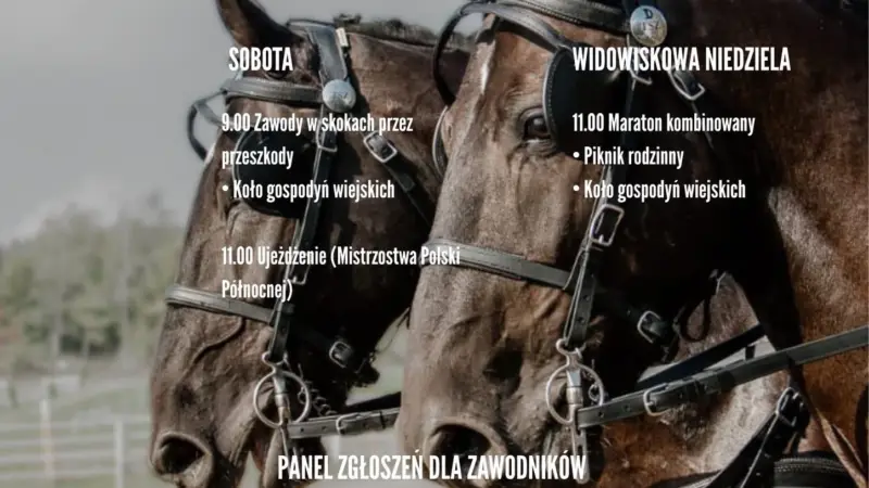 Mistrzostwa Polski Północnej w powożeniu zaprzęgami jedno i parokonnymi