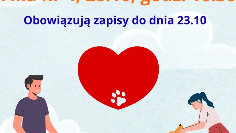 Biblioteka: Wielorasowy bohater – wszystko o naszych kochanych kundelkach