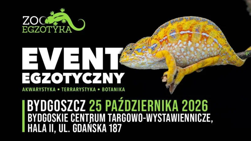 ZooEgzotyka