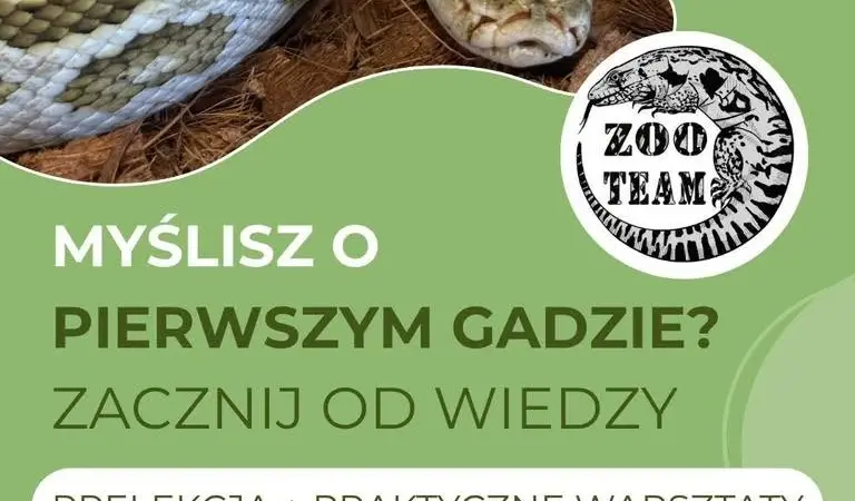 Warsztaty terrarystyczne Zoo Team Wrocław