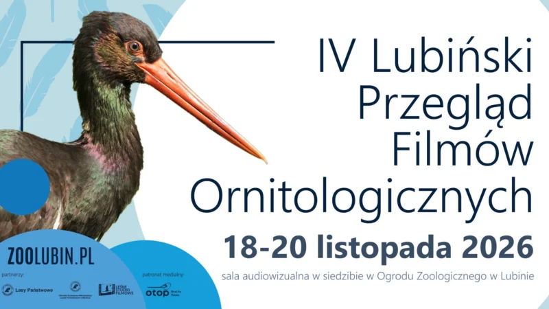 IV Lubiński Przegląd Filmów Ornitologicznych || ZOO Lubin
