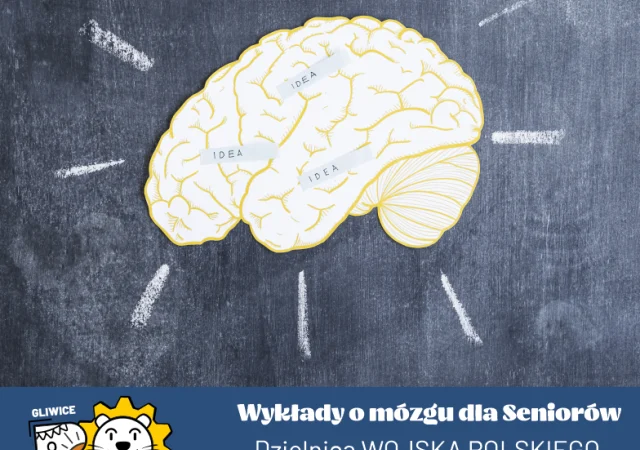 Wykłady o mózgu dla seniorów I Wojska Polskiego I GBO 2026