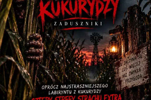 W bardzo wysokiej kukurydzy