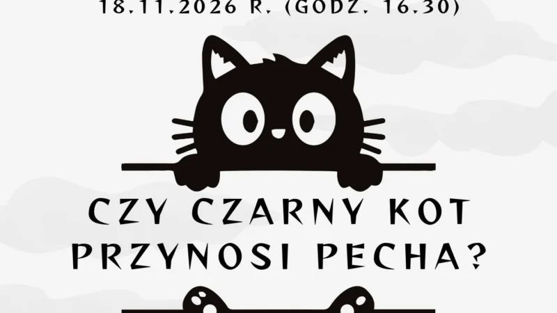 Biblioteka: Czy czarny kot przynosi pecha?